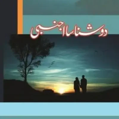 Do Shanasa Ajnabi