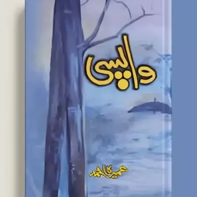 Wapsi  Novel