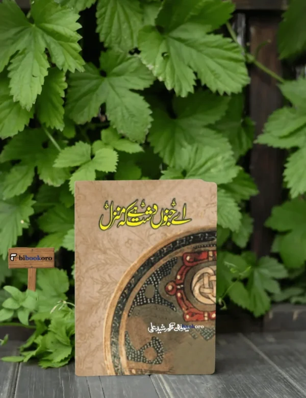 Aye Junoon Dasht Hai Ke Manzil Hai